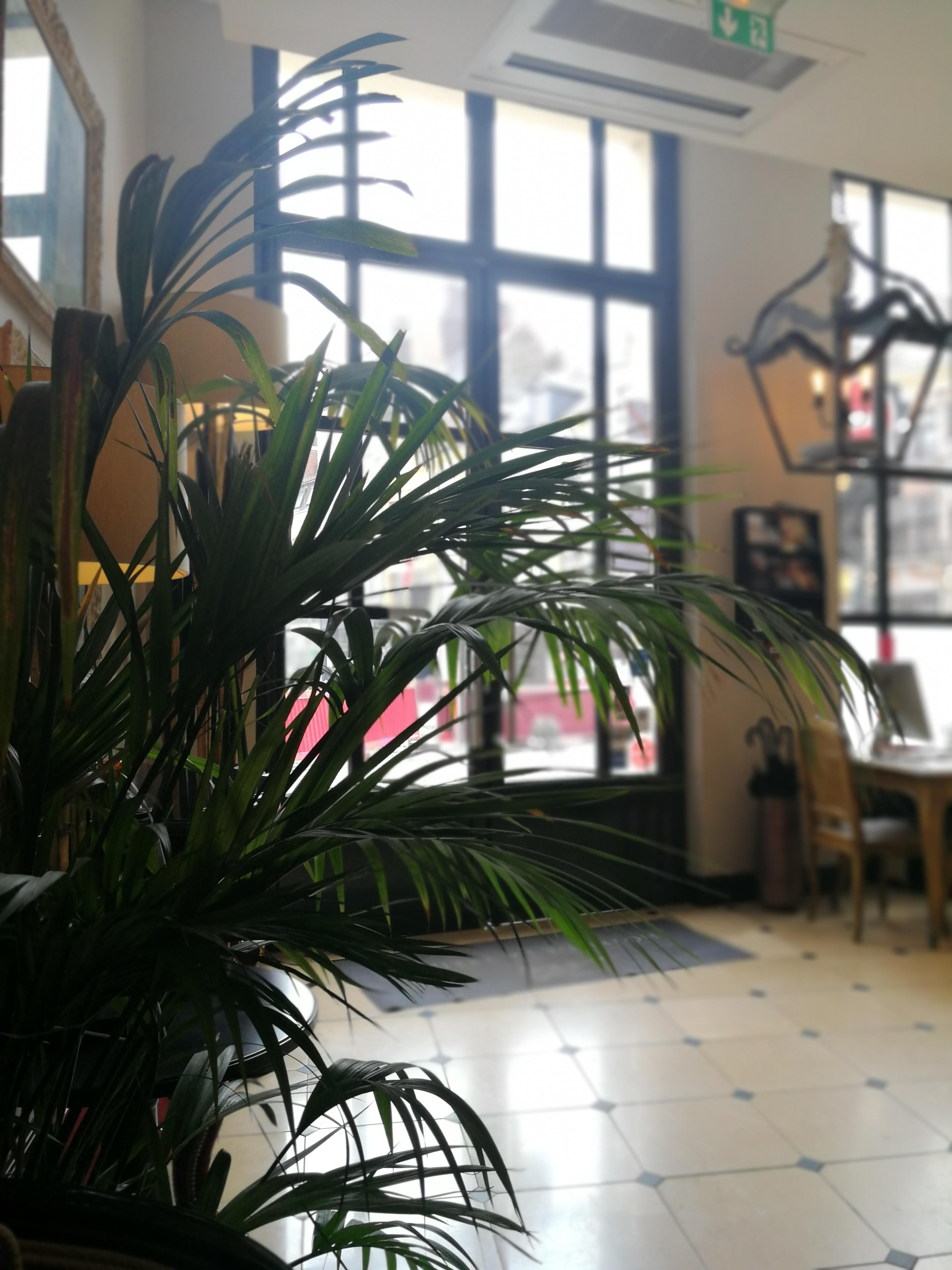 Hotel De La Treille Lille Kültér fotó